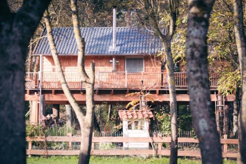 baumhaus BaHu Mützingen Herbst-6