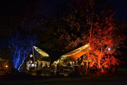 Biergarten 3